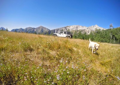 4x4 american fork canyon 12