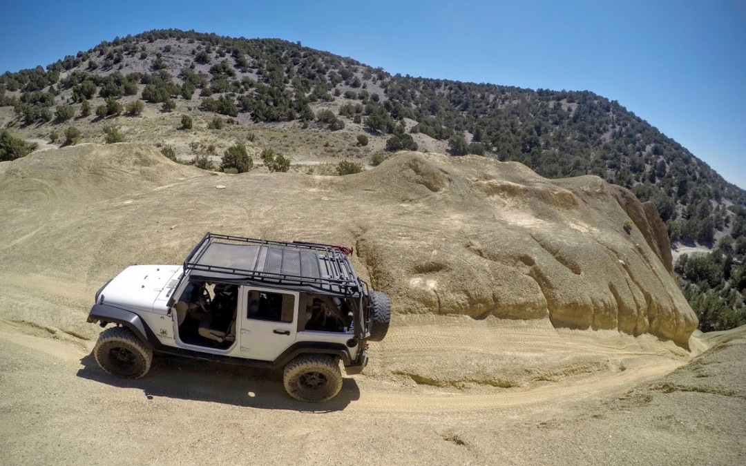 rattle snake trail 7