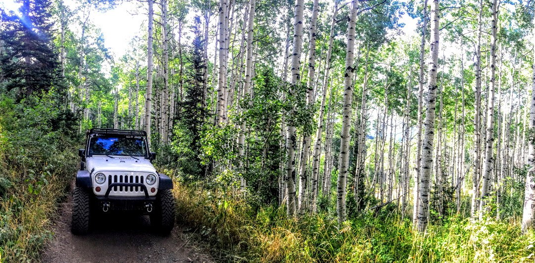 4x4 american fork canyon 11