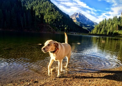 tibble fork reservoir hiking trail 11