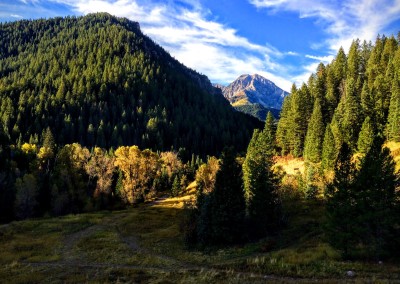 tibble fork reservoir hiking trail 10