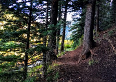tibble fork reservoir hiking trail 6