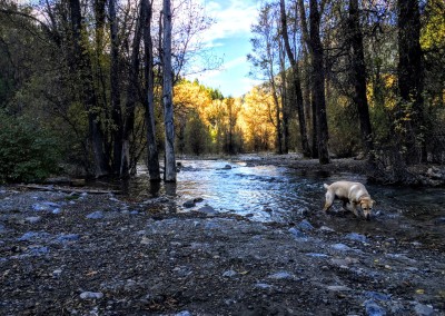 tibble fork reservoir hiking trail 2
