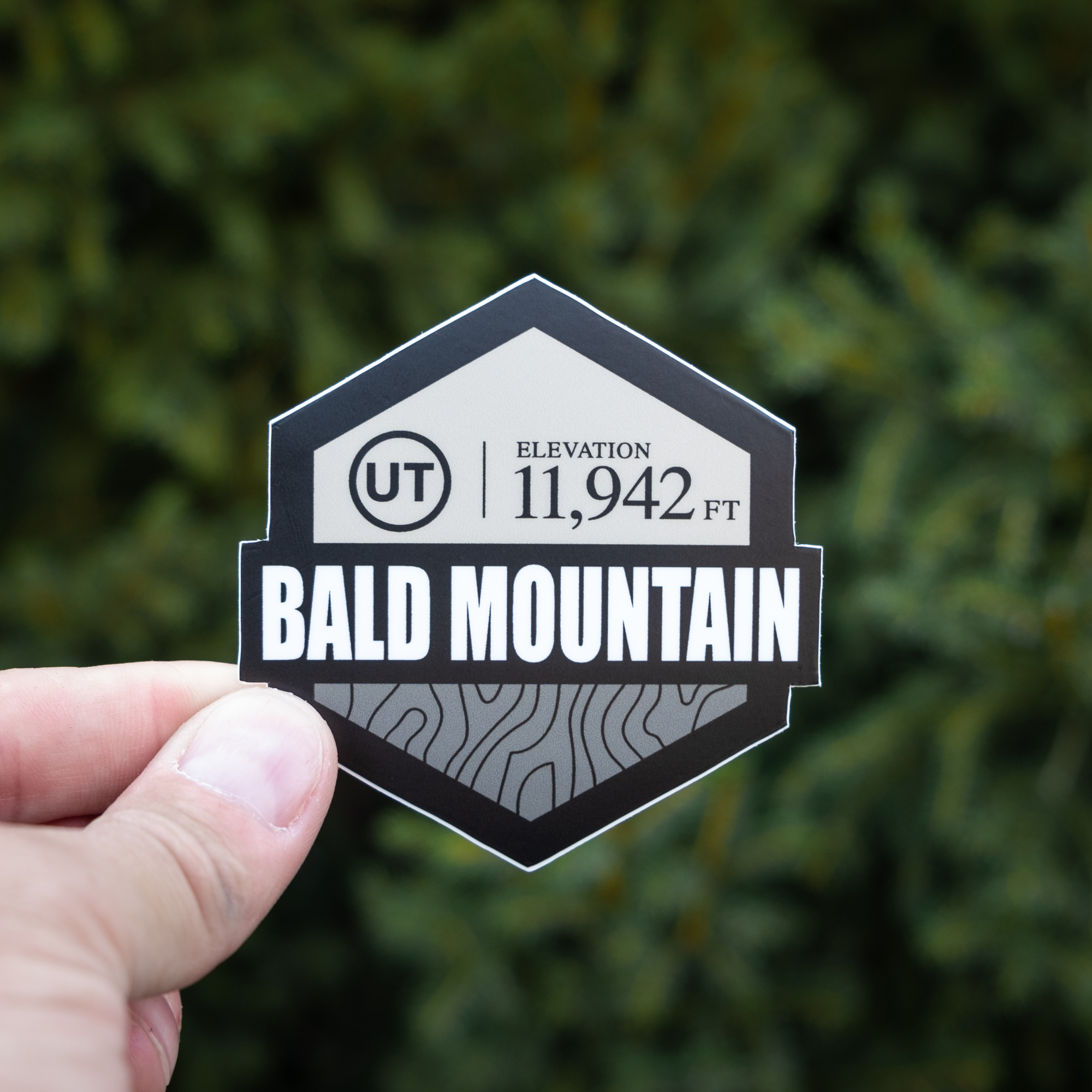 Sticker: Bald Mountain - Image 3