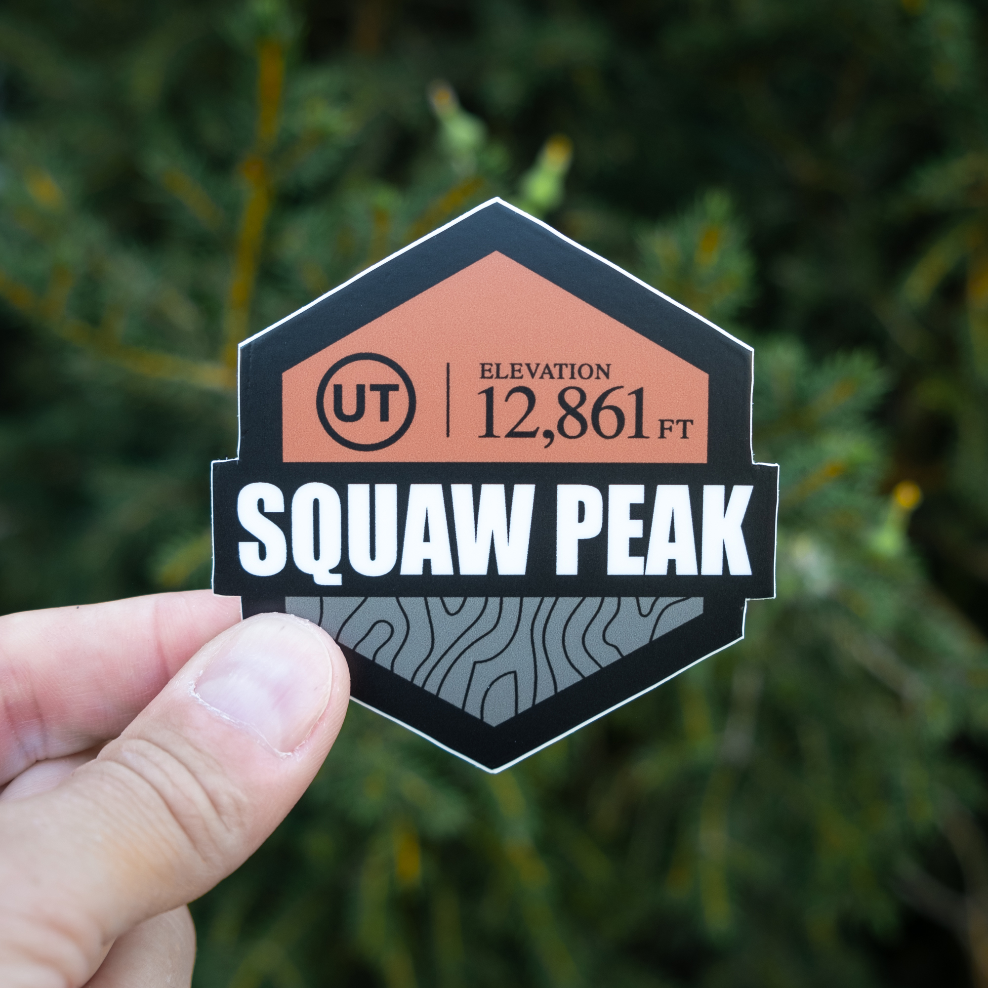 Sticker: Squaw Peak - Image 3