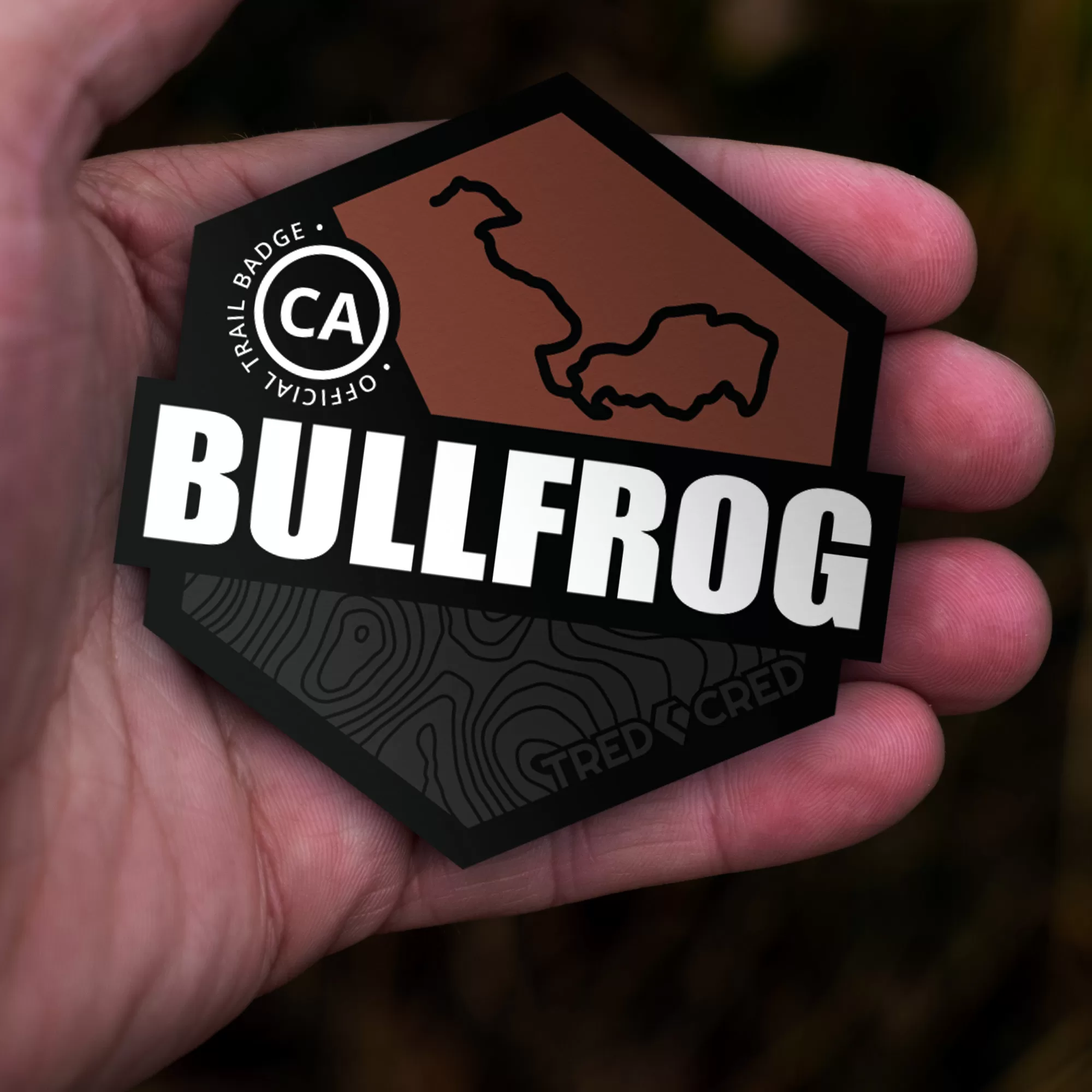 Sticker: Bull Frog Trail - Image 3