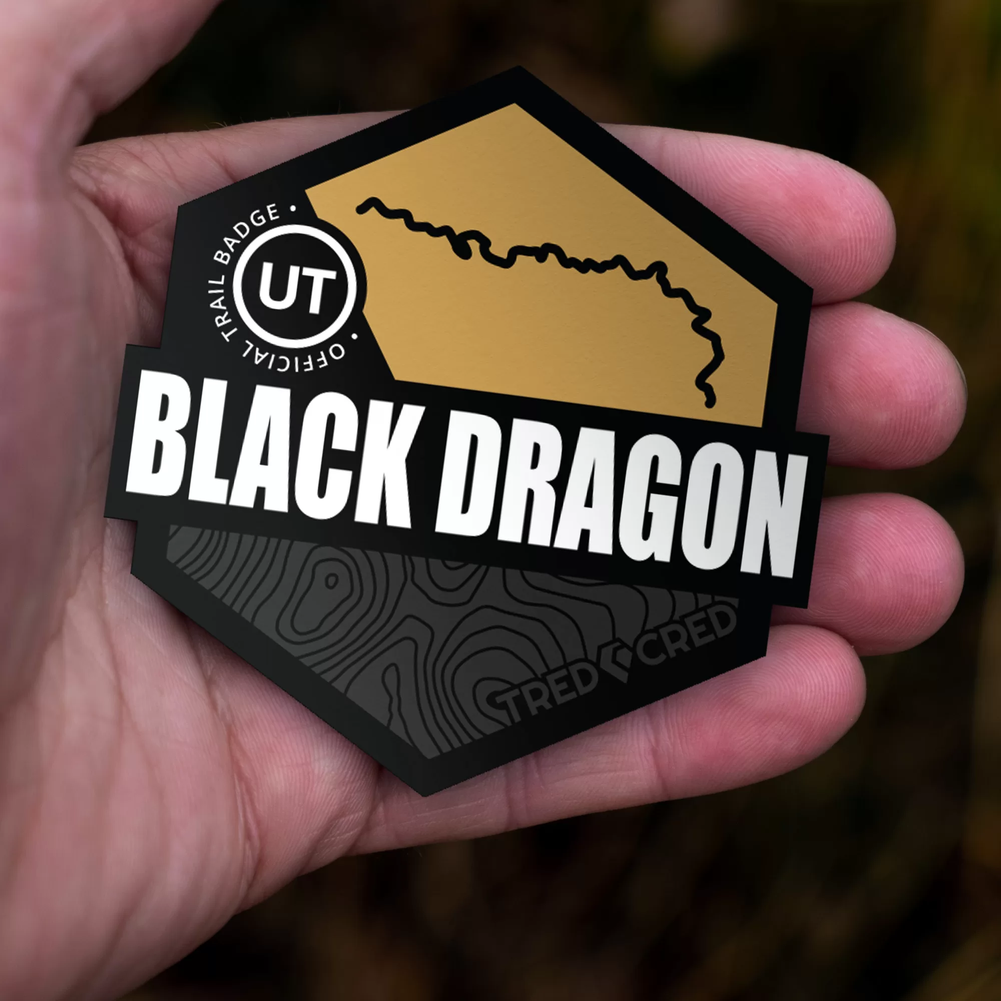Sticker: Black Dragon Wash Trail - Image 5
