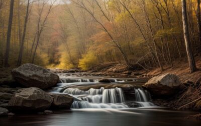 3 Awesome Arkansas 4×4 Trails