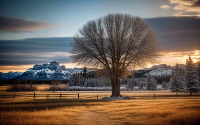Off-Roading Trails In Jackson Hole