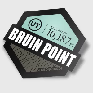 Sticker: Bruin Point