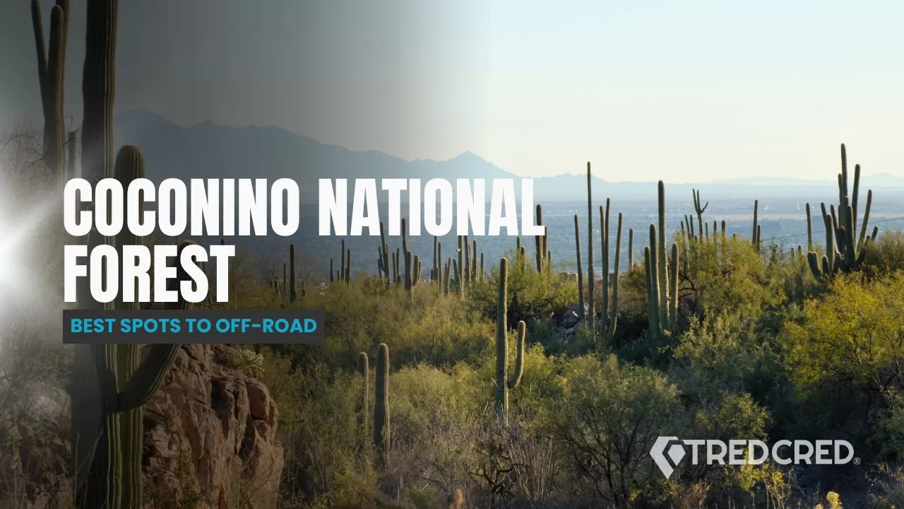 Coconino National Forest’s Best 4×4 Trails for Rugged Explorers Coconino National Forest’s Best 4x4 Trails for Rugged Explorers