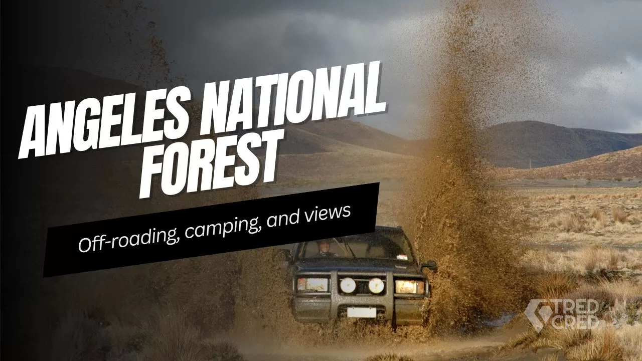 Angeles National Forest Overland Guide: Where to Camp, Drive & Explore Angeles National Forest Overland Guide: Where to Camp, Drive & Explore