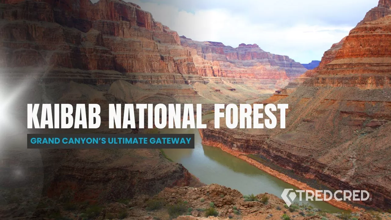 Kaibab National Forest: The Overlander’s Gateway to the Grand Canyon Kaibab National Forest: The Overlander’s Gateway to the Grand Canyon