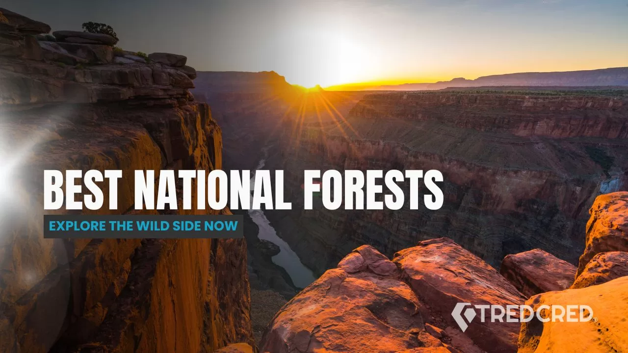 Arizona’s Best National Forests for Off-Roaders & Overlanders Arizona’s Best National Forests for Off-Roaders & Overlanders