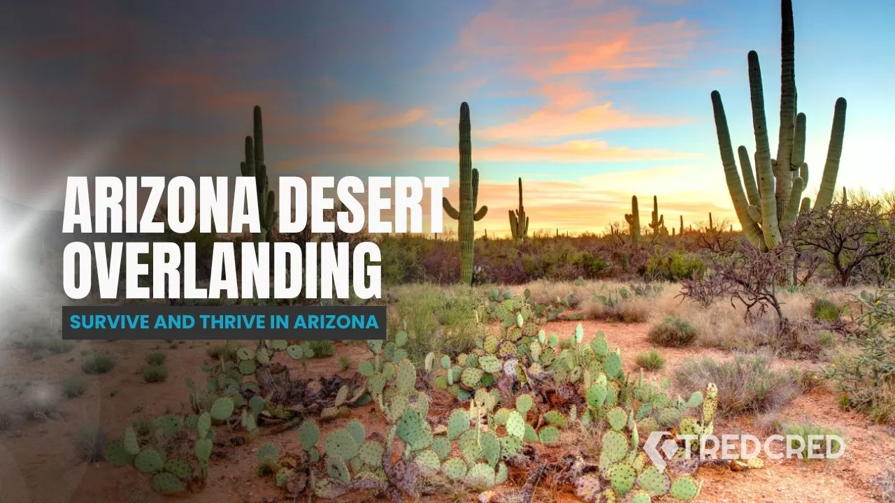 Desert Overlanding 101: Surviving and Thriving in Arizona’s Harshest Terrain