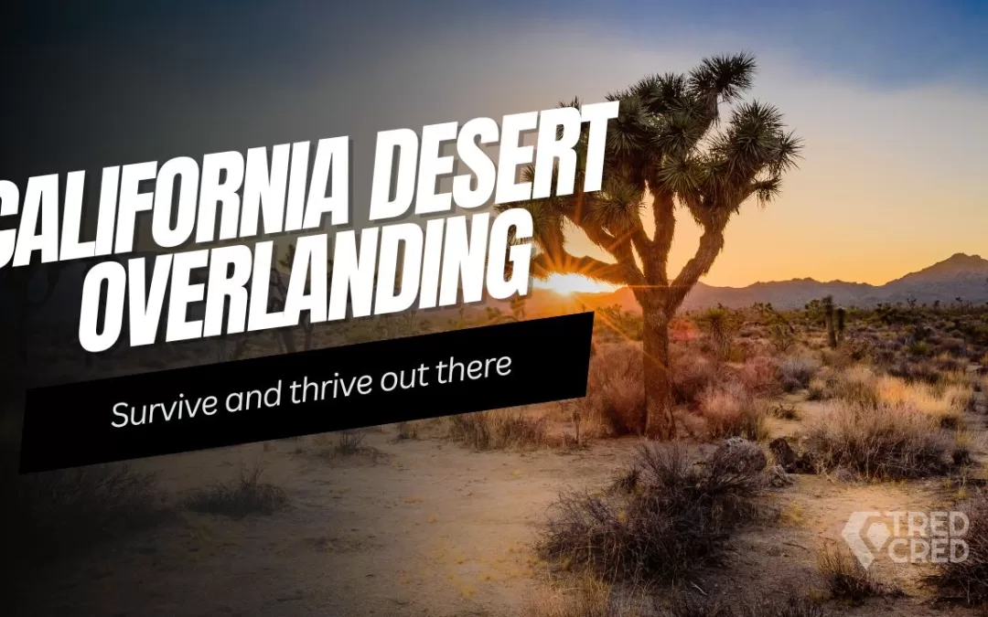 Desert Overlanding 101: Surviving and Thriving in California’s Harshest Terrain
